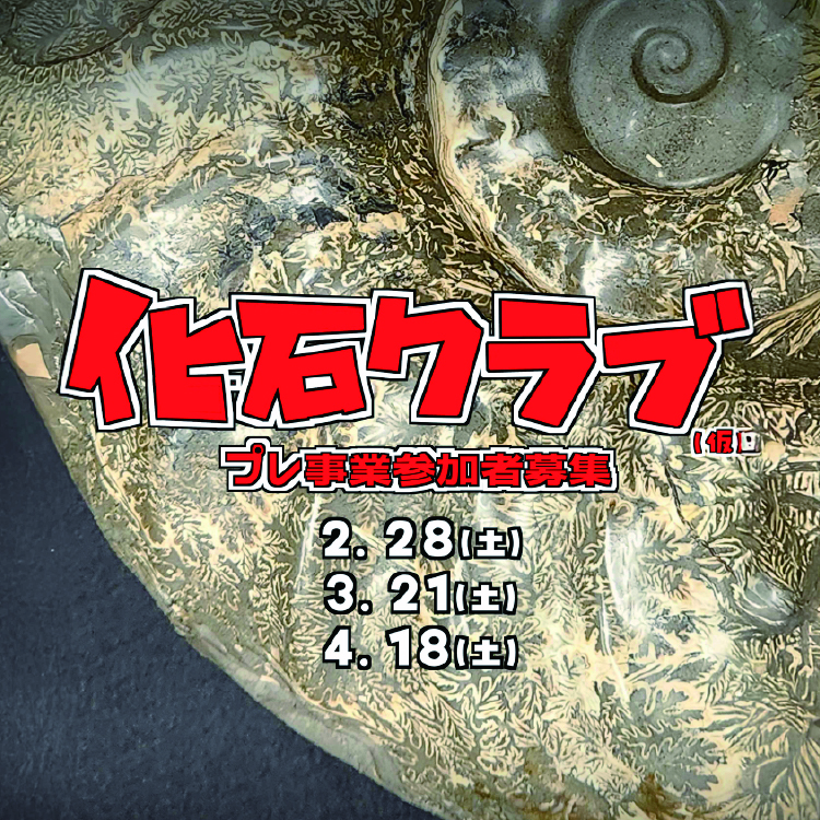 化石クラブサムネイル