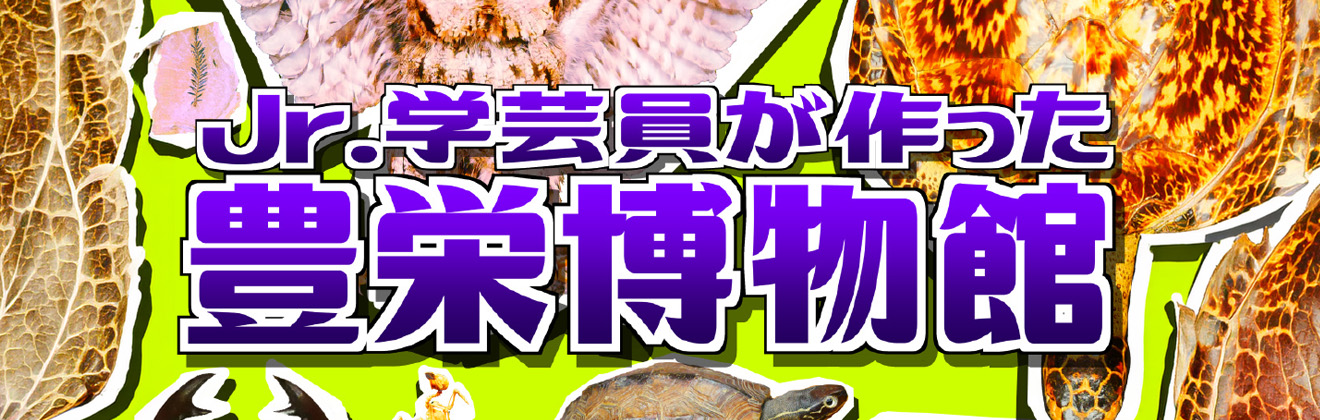 Jr.学芸員が作った豊栄博物館イベントタイトル