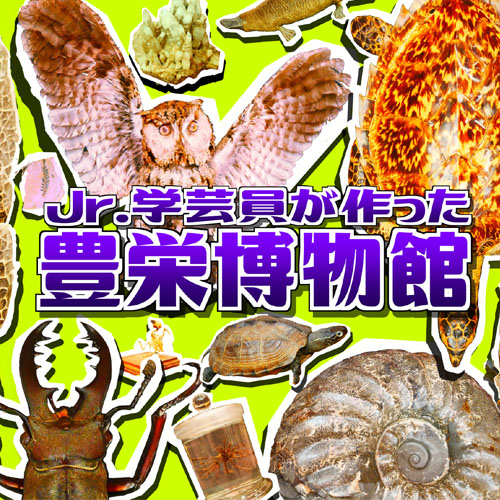 Jr.学芸員が作った豊栄博物館イベントモバイル用タイトル