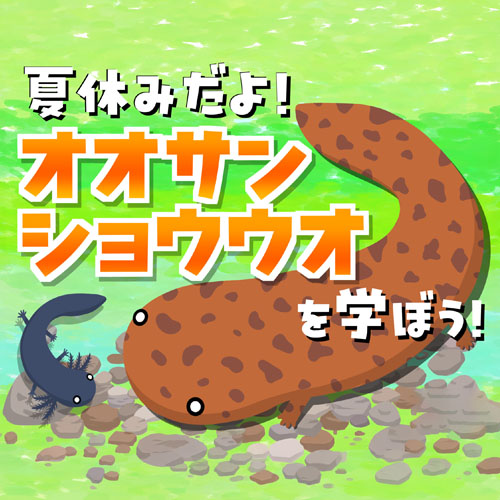 夏休みだよ!オオサンショウウオを学ぼう!イベントサムネイル
