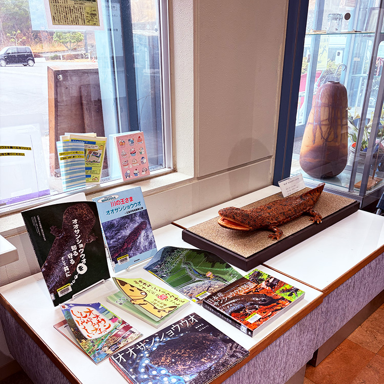 豊栄生涯学習センター展示コーナーの写真